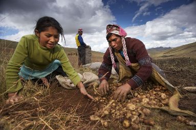Family Farmers Hold Keys to Agriculture in a Warming World